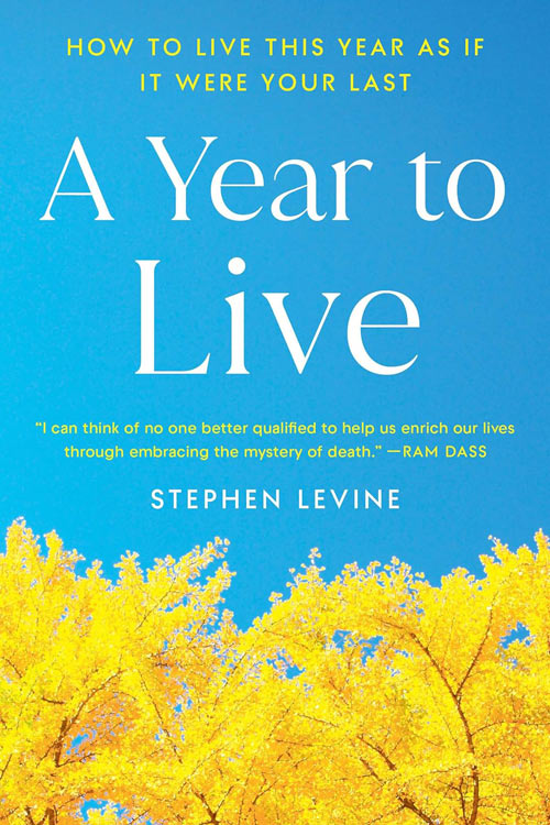 Book cover of Saying Goodbye: A Guide to Coping with a Loved One’s Terminal Illness by Barbara Okun, PhD and Joseph Nowinski, PhD.